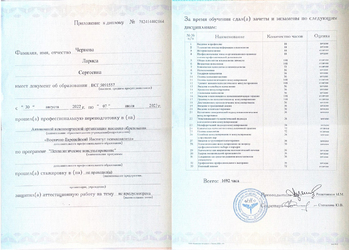 Диплом ВЕИП приложение