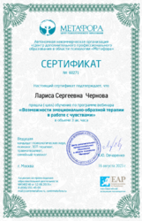 Сертификат ЭОТ Метафора
